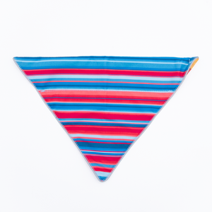 Wingo Bernie Dog Bandana Baja Bars