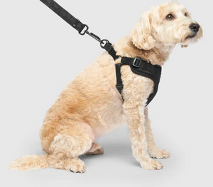 Canada Pooch Easy On Step-In Harness Small Black