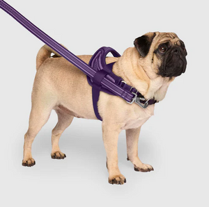 Canada Pooch Re-Direct Harness Large Purple/ Lavender