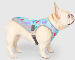 Canada Pooch Chill Seeker Cooling Vest size 28 Popsicles