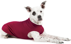 Gold Paw Fleece Garnet Size 26