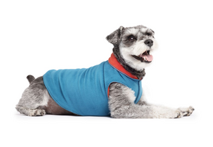 Gold Paw Double Fleece Marine & Paprika Size 10