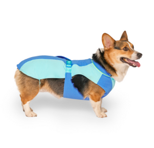 Canada Pooch Cooling Vest Blue Large