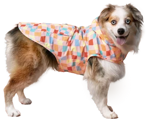 Canada Pooch Pick Me Poncho Warped Checker Size 14