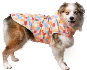 Canada Pooch Pick Me Poncho Warped Checker Size 22