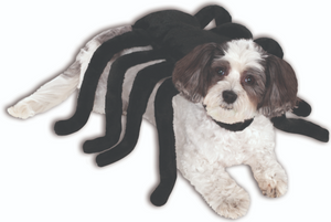 Ruby Slippers Spider Harness Pet Costume Extra  Large