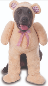Ruby Slippers Big Dogs Walking Teddy Bear Pet Costume Extra Extra Extra Large