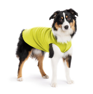 Gold Paw Fleece Avocado Size 14