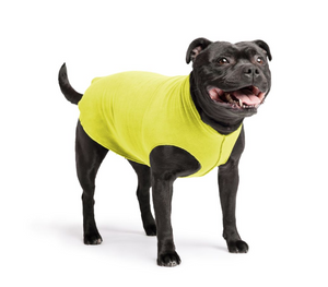 Gold Paw Fleece Avocado Size 16