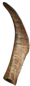 Canophera Dog Chew Sheep Horn Medium