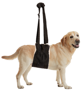 ZenPet Buddy Lift Rehabilitation Sling Back Leg Large / Extra Large