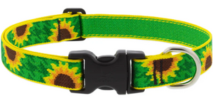 Lupine Collar 1in Sunflowers 12-20