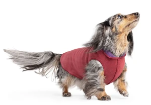 Gold Paw Double Fleece Red Velvet/Huckleberry Size 26
