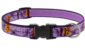 Lupine Adjustable Collar Trick or Treat 3/4" 13-22