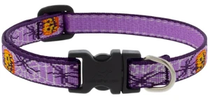 Lupine Adjustable Collar Trick or Treat 1/2" 10-16