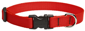 Lupine Collar Red 3/4" 15-25