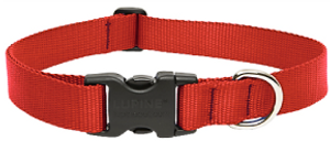 Lupine Collar Red 1" 12-20