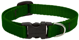 Lupine Collar Green Collar 1/2" 8-12