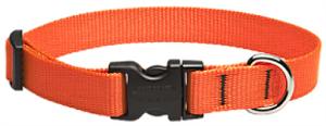 Lupine Collar Orange 3/4"13-22