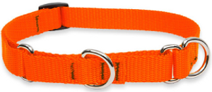 Lupine Combo Collar Orange 3/4" 14-20