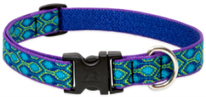 Lupine Collar Rain Song 3/4" 9-14