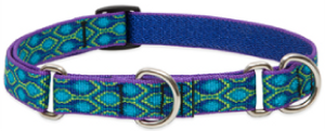 Lupine Combo Collar Rain Song 3/4" 14-20