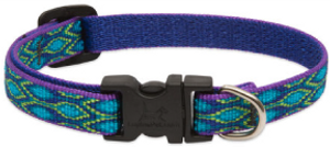 Lupine Collar Rain Song 1/2" 10-16