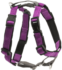 Premier 3 In1 Dog Harness Large Plum