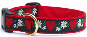 Upcountry Dog Collar Large Hearts & Flowers 15.-21