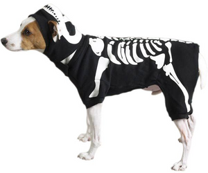 Zack & Zoey Canine Glow Bones Costume Large