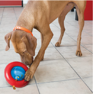 Kong PGY3 Gyro Small Dog Toy