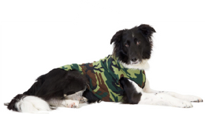 Gold Paw Fleece Camo Size 08