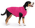 Gold Paw Fleece Fuchsia Size 28