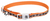 Coastal Lazer Brite Safety Cat Collar 3/8 8-12 Orange Paw