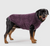 Canada Pooch Soho Sweater Magenta Mix Size 24