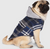 Canada Pooch The Shacket Blue Plaid 08