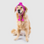 Canada Pooch Polar Pom Pom Hat Pink Small