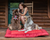 Kurgo Loft Wander Bed - Barn/Chili Red 36" x 48"