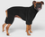 Canada Pooch Stretch Body Warmer Black 10