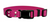 Waggle Woof & Wander Biothane Dog Adjustable Collar Magenta 1 Medium up to 20"