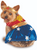Ruby Slippers Wonder Woman Pet Costume Medium
