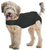 ZenPet ZENDOG + Calming, Shed and Recovery Shirt Small