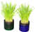 Moms Cat Grass Planter Jar Blue or Green