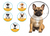 ZenPet Plastic E Collar Medium