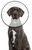 ZenPet Plastic E Collar XLarge