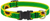 Lupine Collar 3/4in Sunflowers 13-22