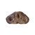 Vital Essentials RAW BAR Freeze-Dried Raw Dog Snacks Pig Snout (single)