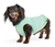 Gold Paw Double Fleece Juniper/Navy Size 16
