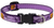 Lupine Adjustable Collar Trick or Treat 1/2" 6-9
