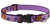 Lupine Adjustable Collar Trick or Treat 3/4" 13-22